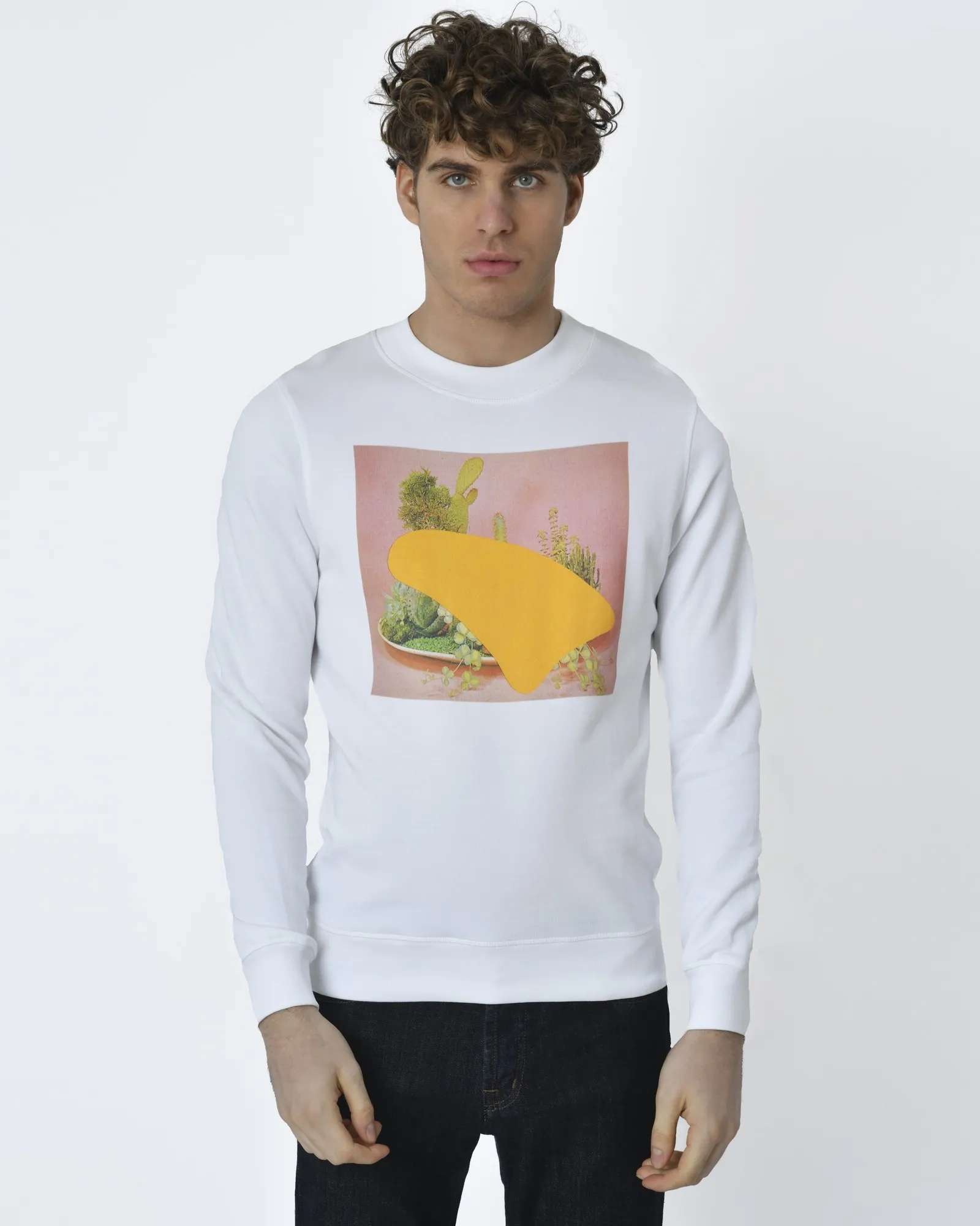 Sweat blanc à motif paysage cactus Editions M.R 