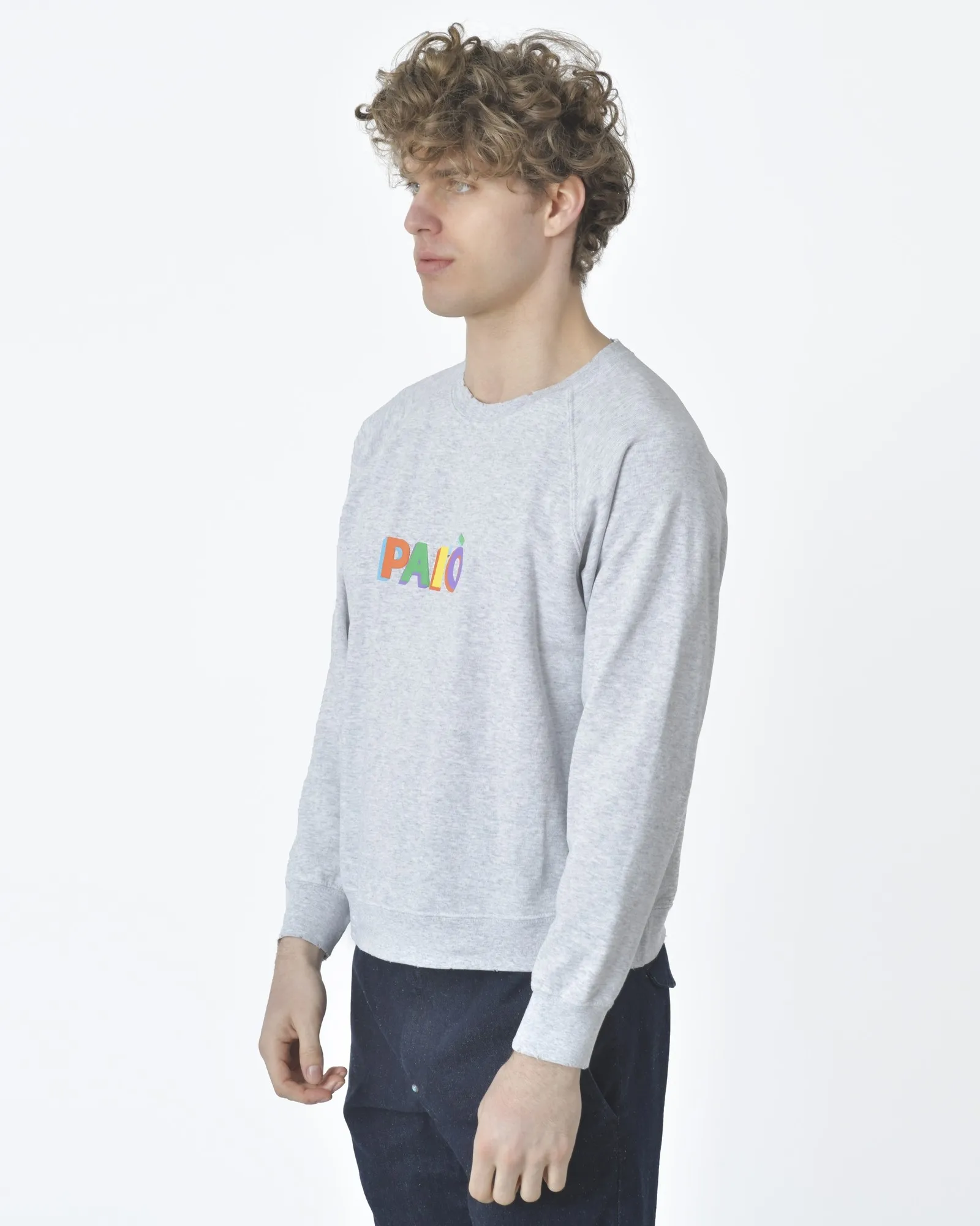 Sweat gris Palto 