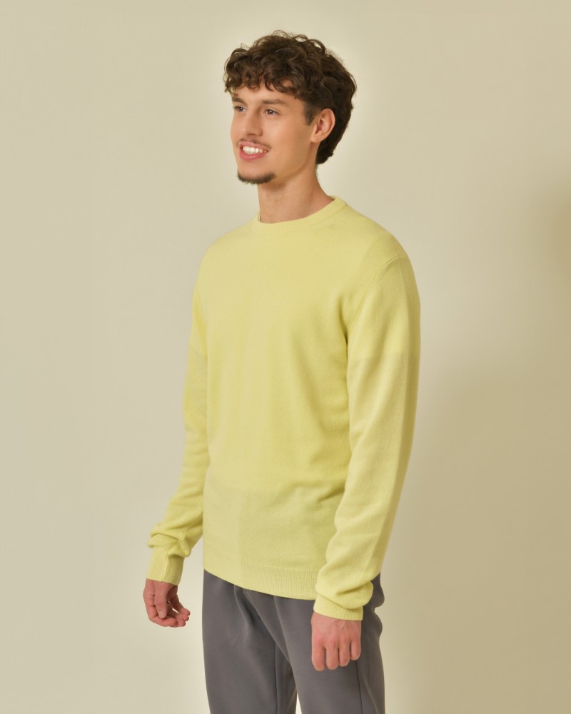 Pull en laine mérinos jaune Wool & Co 