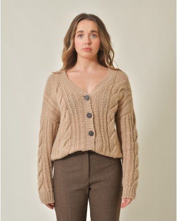 Cardigan en alpaga et laine vierge mélangée Peserico 